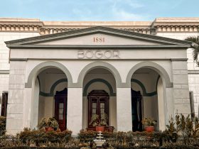 rental mobil bogor